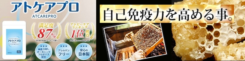 �A�g�P�A�v�����T�C�g